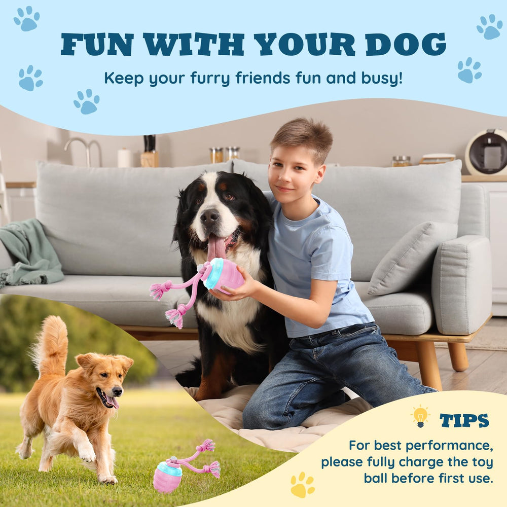 HVUATQ USB-C rechargeable dog ball shown charging for mess-free fun