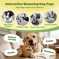 HVUATQ USB-rechargeable dog ball charging for extended play sessions