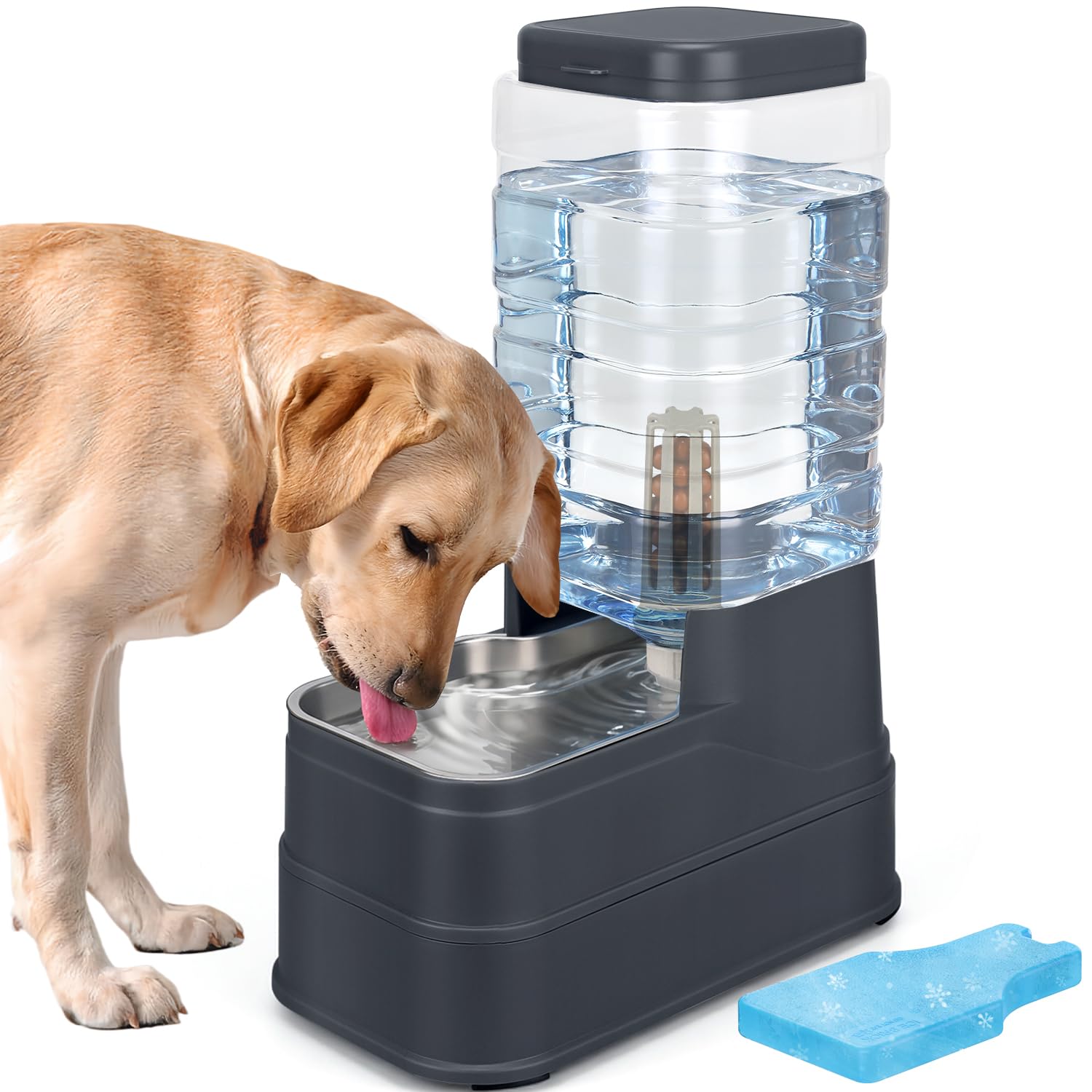 HWONMTE water dispenser with stainless steel bowl keeps water fresh for pets.