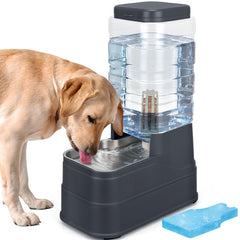 HWONMTE water dispenser with stainless steel bowl keeps water fresh for pets.