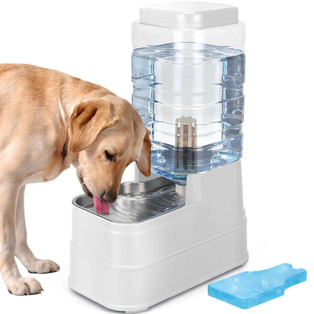 HWONMTE gravity water dispenser with 2.2 gallon capacity for steady hydration