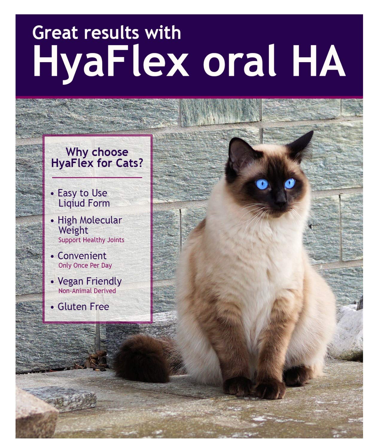 Mixing Hyalogic HyaFlex into cat food to support joints