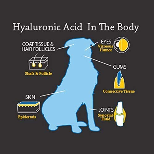 HyaFlex oral formula packaging illustrating easy daily administration.