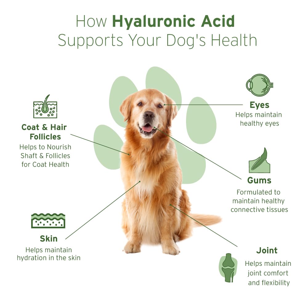 Hyalogic HyaFlex Pro eye-gum health visual indicates broader senior dog care