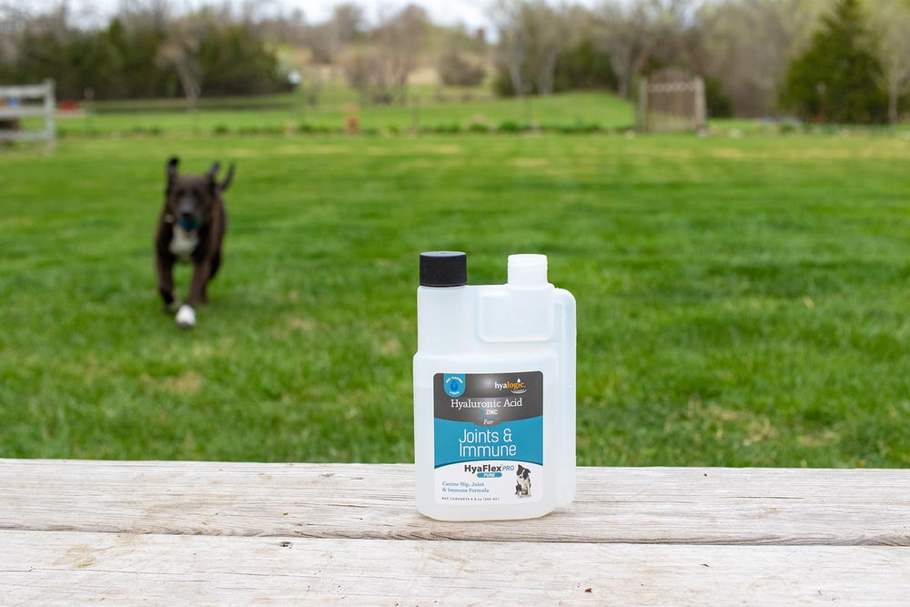 Hyalogic HyaFlex Pro Pure zinc support for immune resilience in dogs.