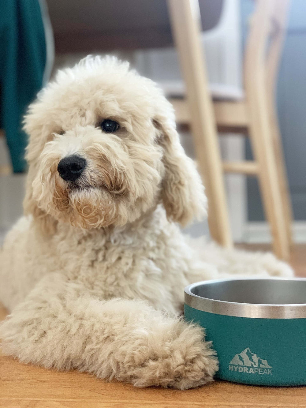 Hydrapeak outdoor-use dog bowl serves as a reliable water dish outdoors