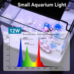 Hygger full-spectrum LEDs close-up showing vivid colors for fish and plants.