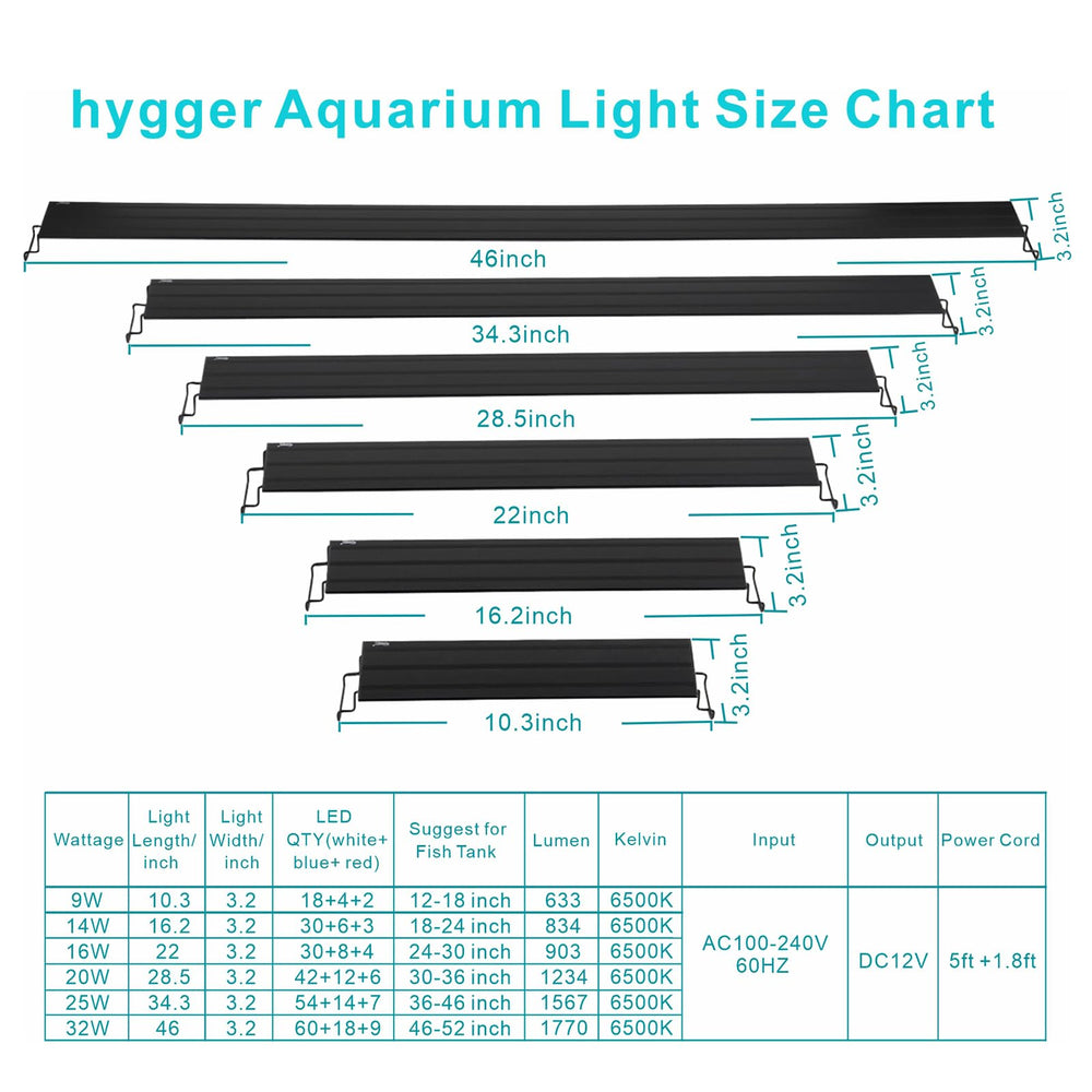 Hygger 14W in action – vibrant spectrum highlights fish and plants