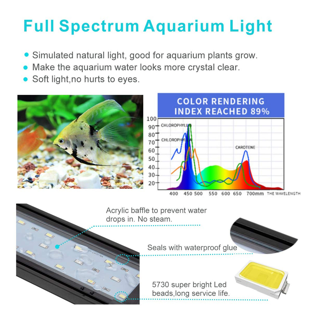 Three LED color modes demonstrated by Hygger light in a tank