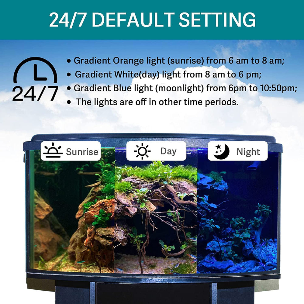 hygger 24/7 mode light hidden behind tank creates subtle ambient glow.