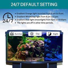 hygger 24/7 mode light hidden behind tank creates subtle ambient glow.