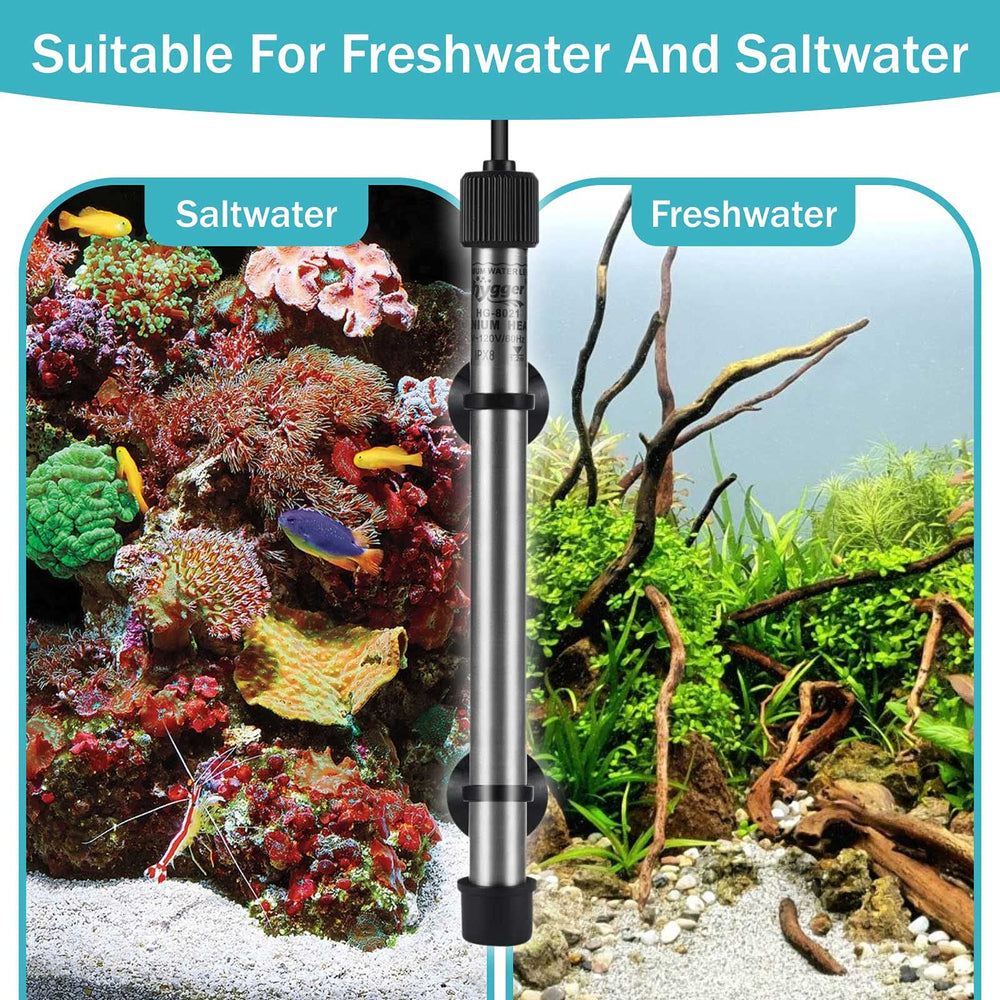 hygger 802 titanium heater rod in a freshwater tank for consistent temperatures.