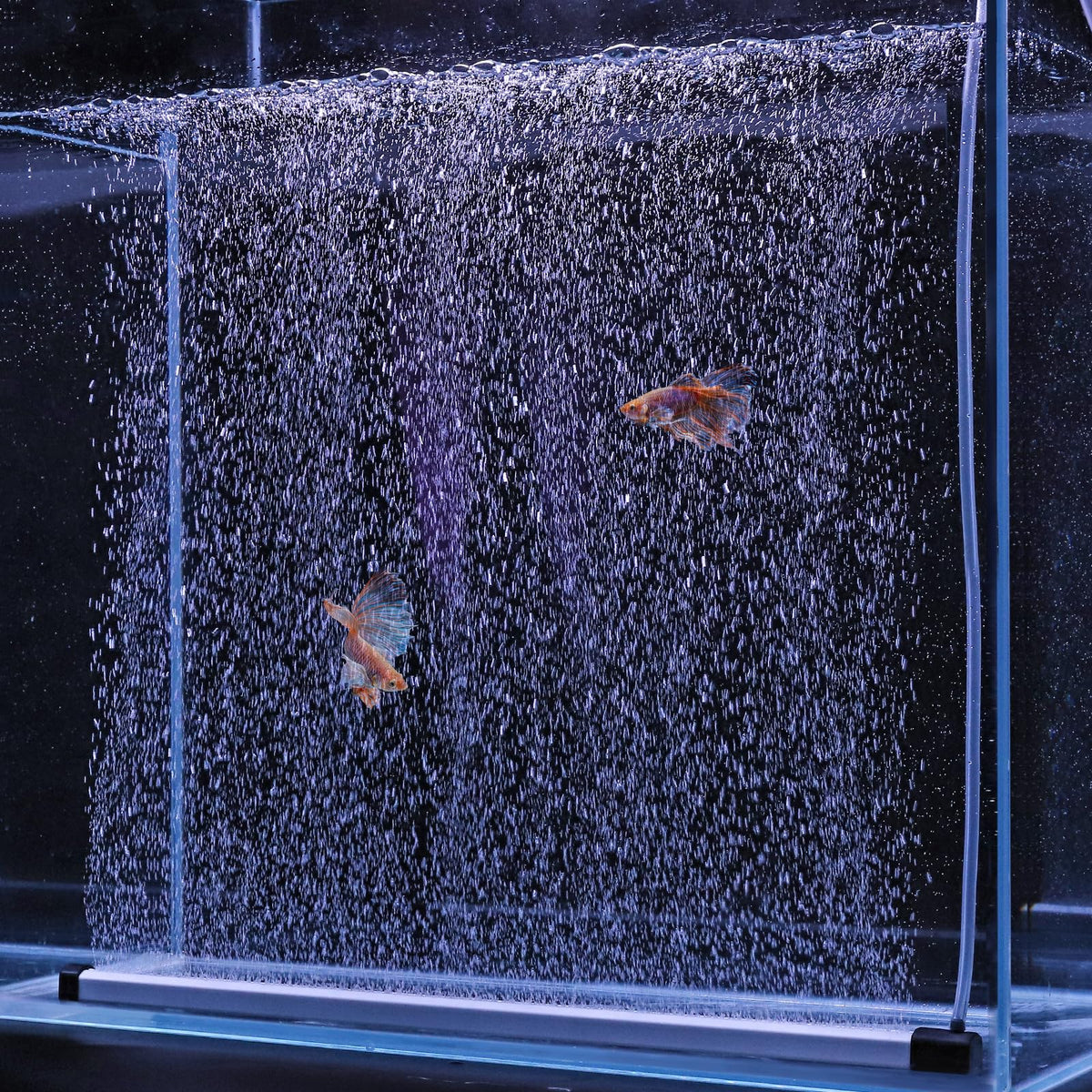 Hygger aquarium bubble strip 16-9 inch creates an even bubble wall for large tanks.