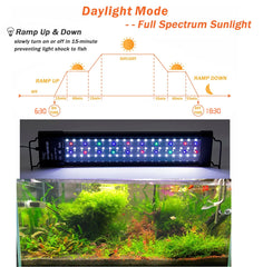 Hygger IP68 housing resists splashes, ideal for humid aquariums