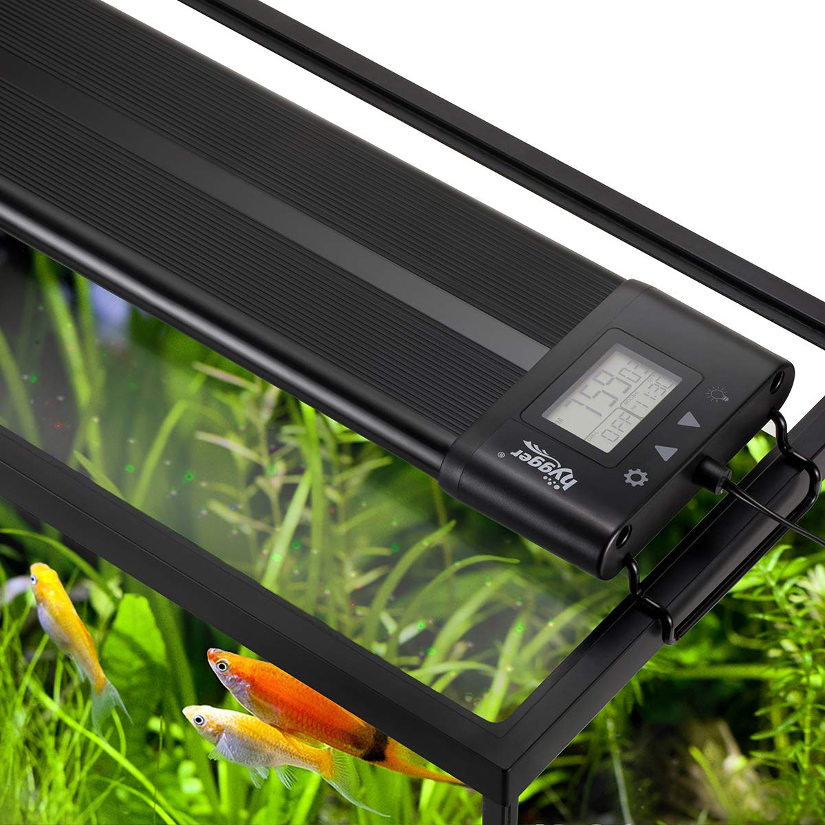 Hygger Auto On Off LED light over a 30-36 inch planted tank for vibrant colors