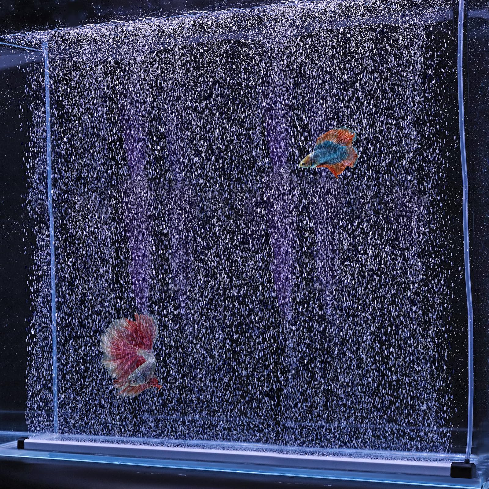 hygger 27.5-inch bubble strip creates a shimmering wall in your aquarium