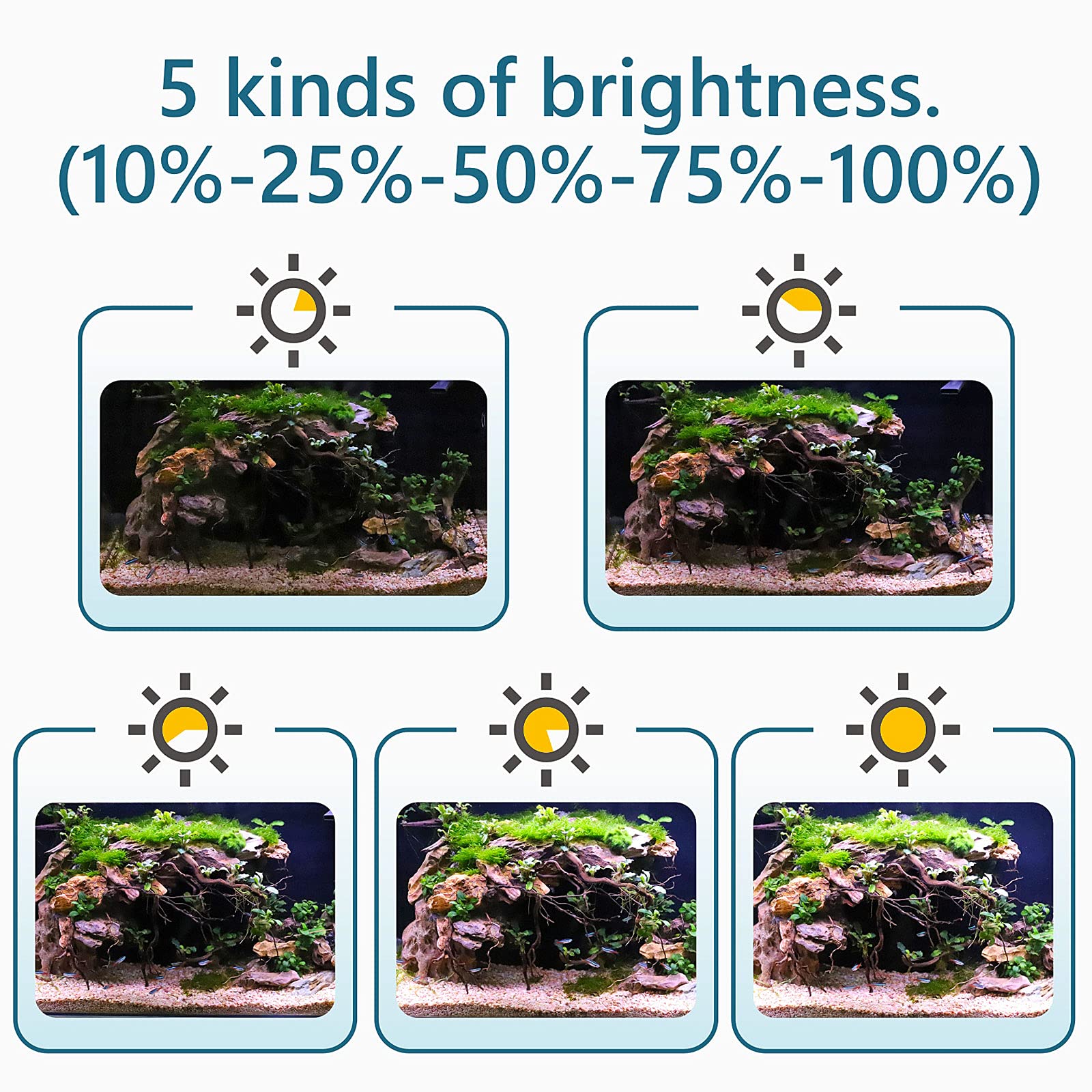 Hygger 14W LED supports 12–20 inch tanks efficiently.