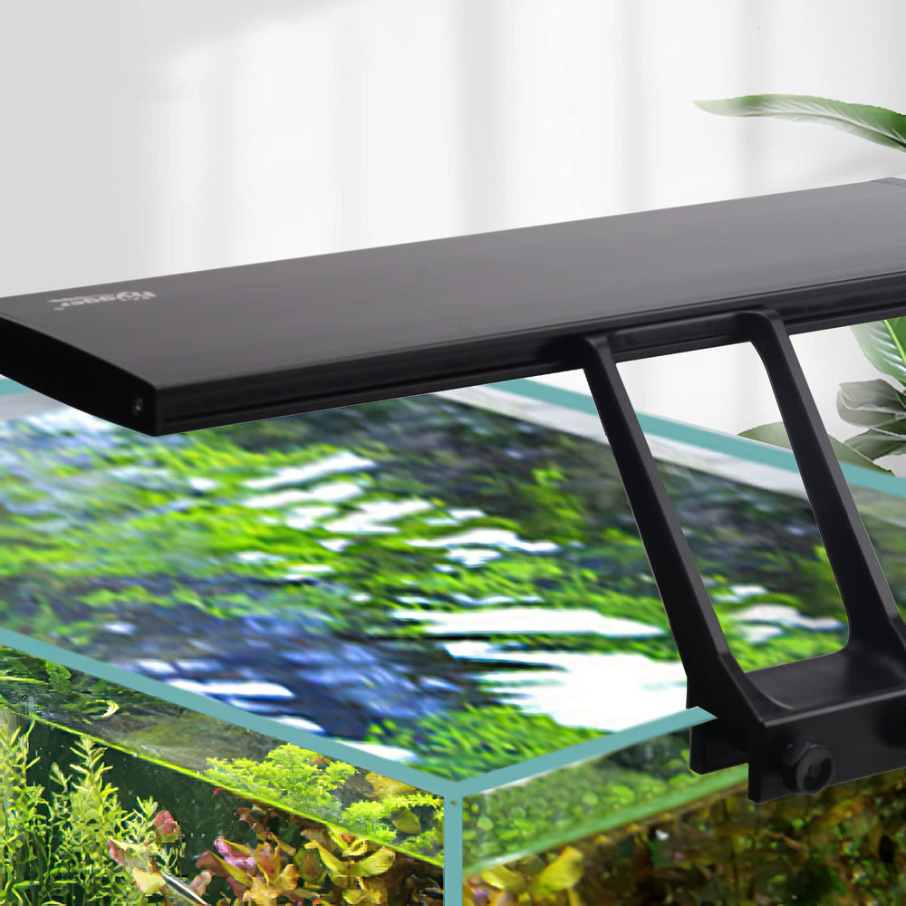 Hygger clip-on sunrise mode for a vibrant planted aquarium.