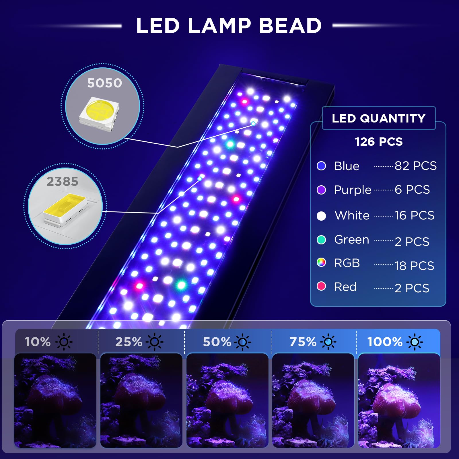 Hygger seven-color spectrum aids eye comfort and visual appeal in moonlight