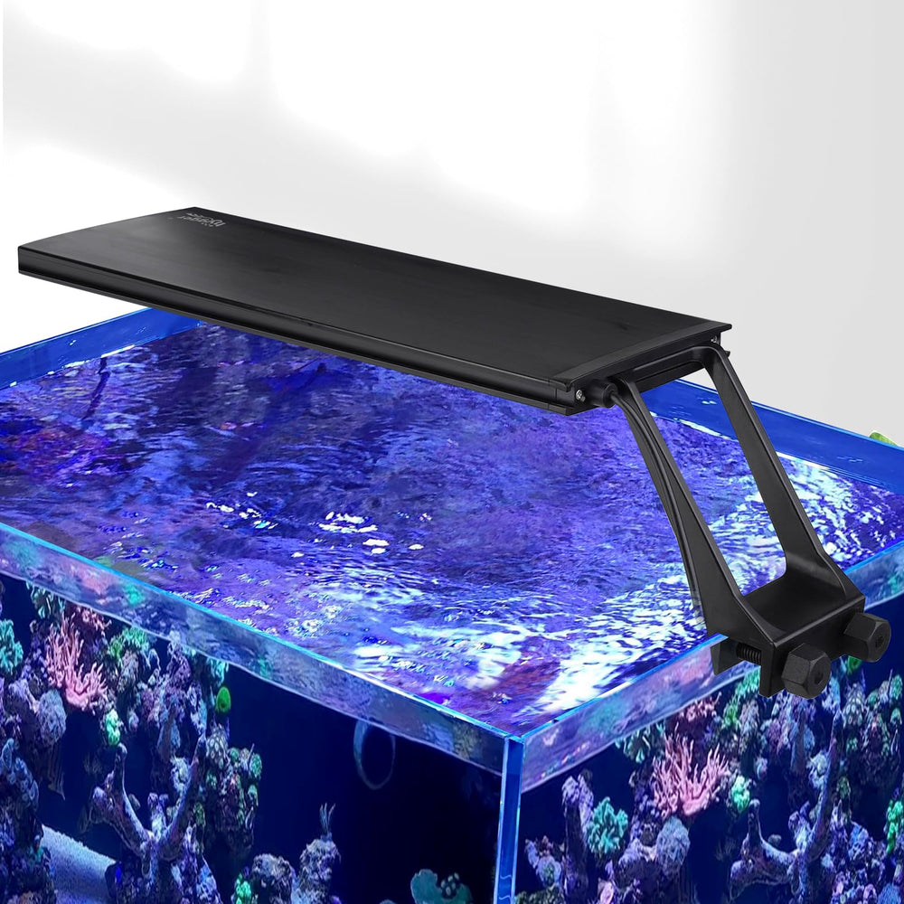 Hygger clip-on 24/7 saltwater LED light in sunrise mode for gentle coral acclimation