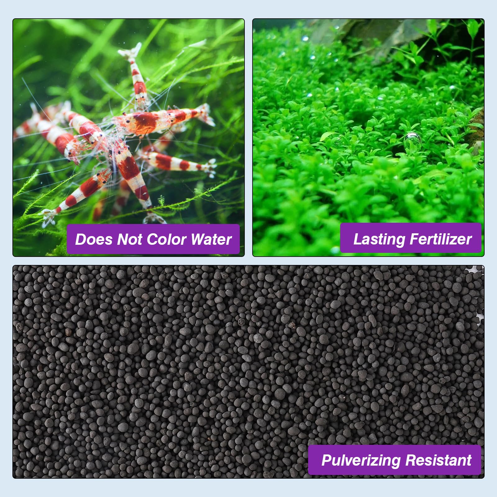 Hygger CO2 soil with shrimps thriving in a well-balanced tank.
