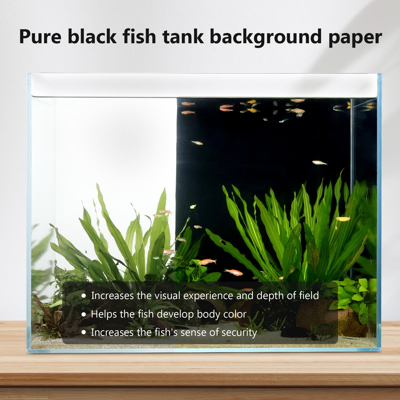 Hygger CO2 backdrop non-reflective black finish enhances fish colors and plant contrast.