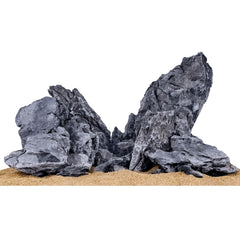 Seiryu rocks and driftwood create a three-dimensional underwater landscape.