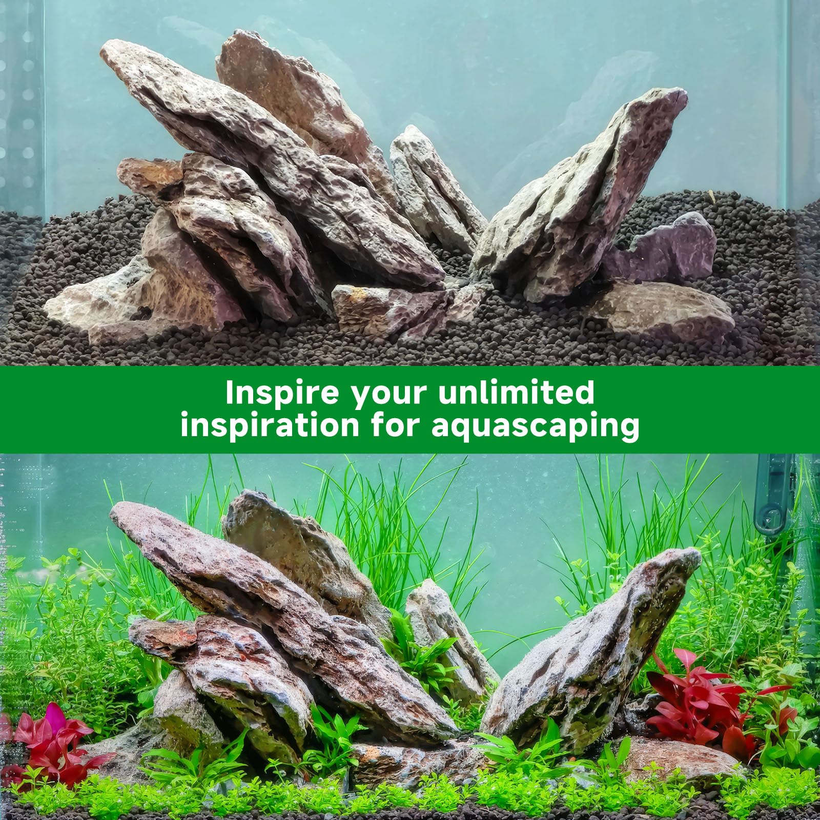 Dense Seiryu stones form focal points for striking aquascapes.