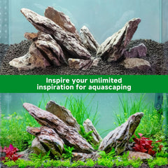Dense Seiryu stones form focal points for striking aquascapes.