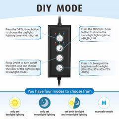 Hygger day-night mode from sunrise to sunset for a vibrant planted tank.