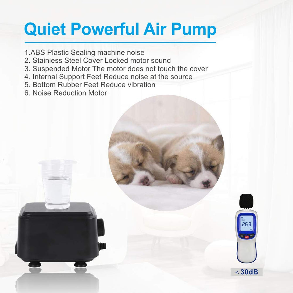 Hygger double-outlet layout demonstrates even bubble distribution for oxygenation