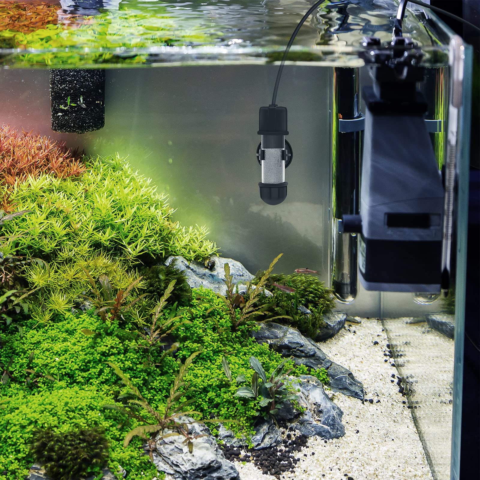 hygger external temperature controller allows easy outside adjustments.