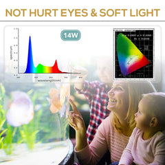 Hygger LED light simulating sunrise dawn for planted tanks and growth.