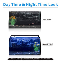 Hygger Horizon 3D rockery background creates depth and a natural hiding spot for small fish.