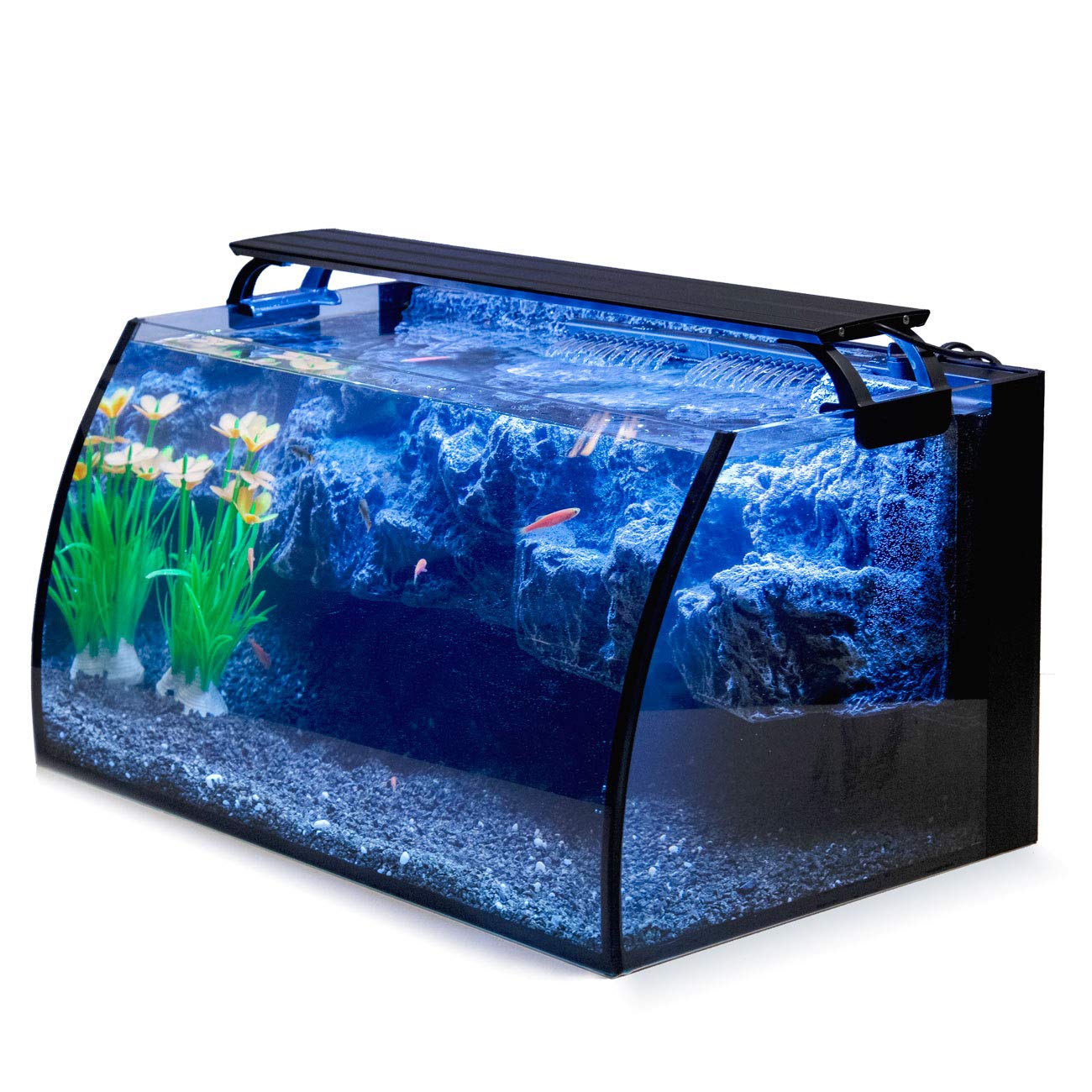 Hygger Horizon 8-gallon curved-tank view highlights a clear underwater perspective with 3D rockery.
