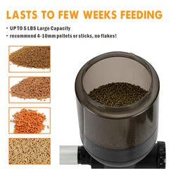 Hygger pond feeder LCD display demonstrates precise scheduling on outdoor ponds.