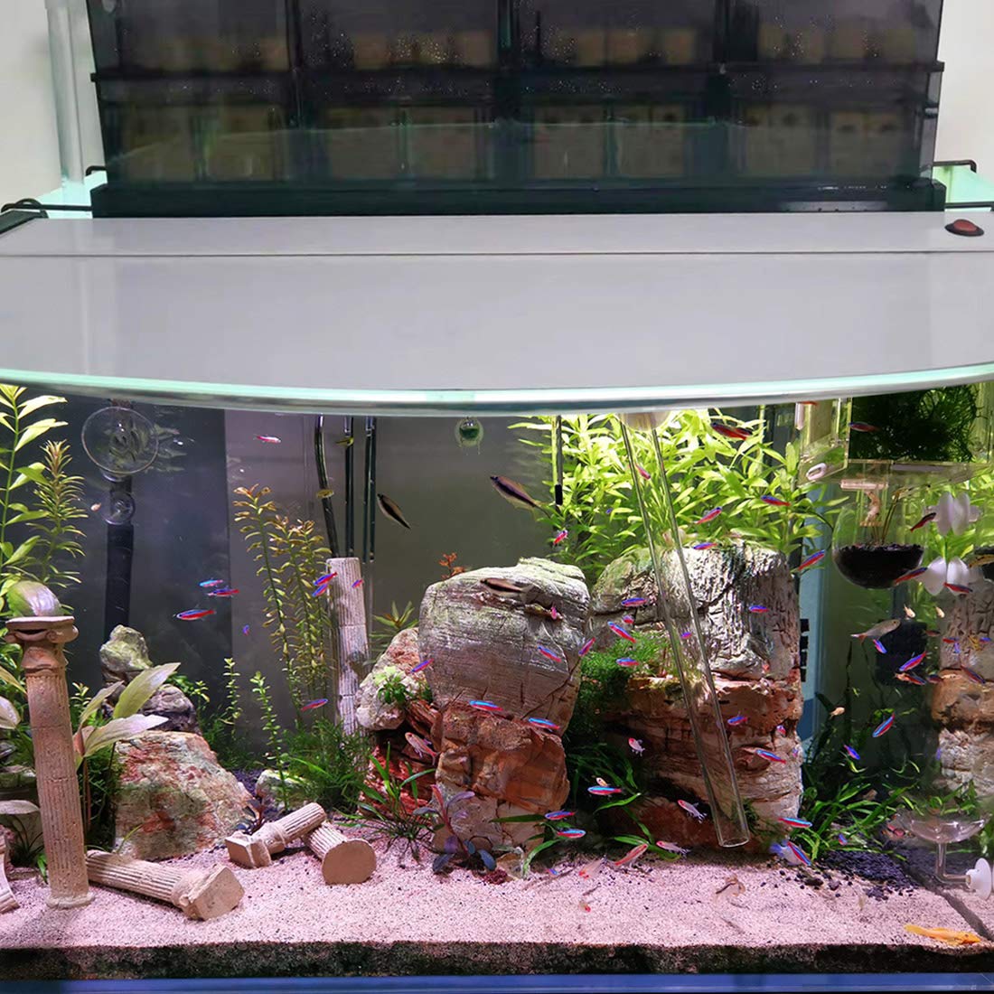 Hygger large surface area ceramic bio-media blocks in use