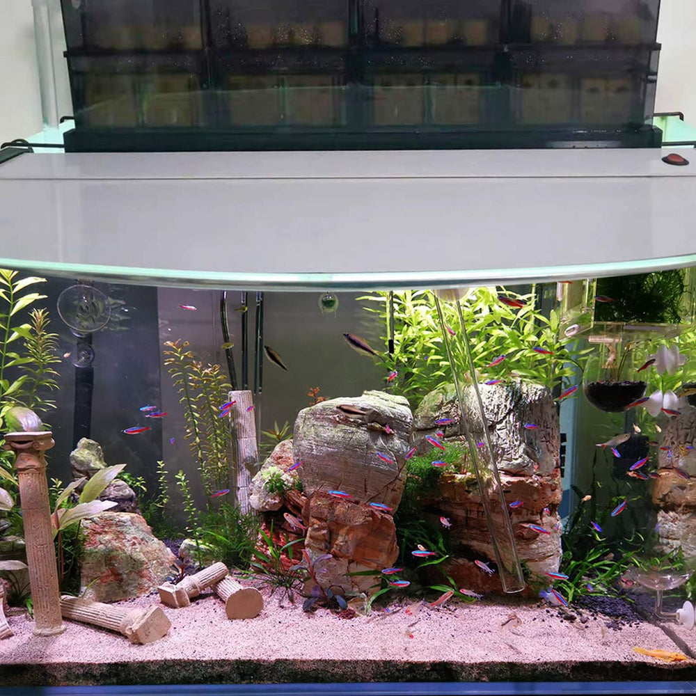 Hygger large surface area ceramic bio-media blocks in use