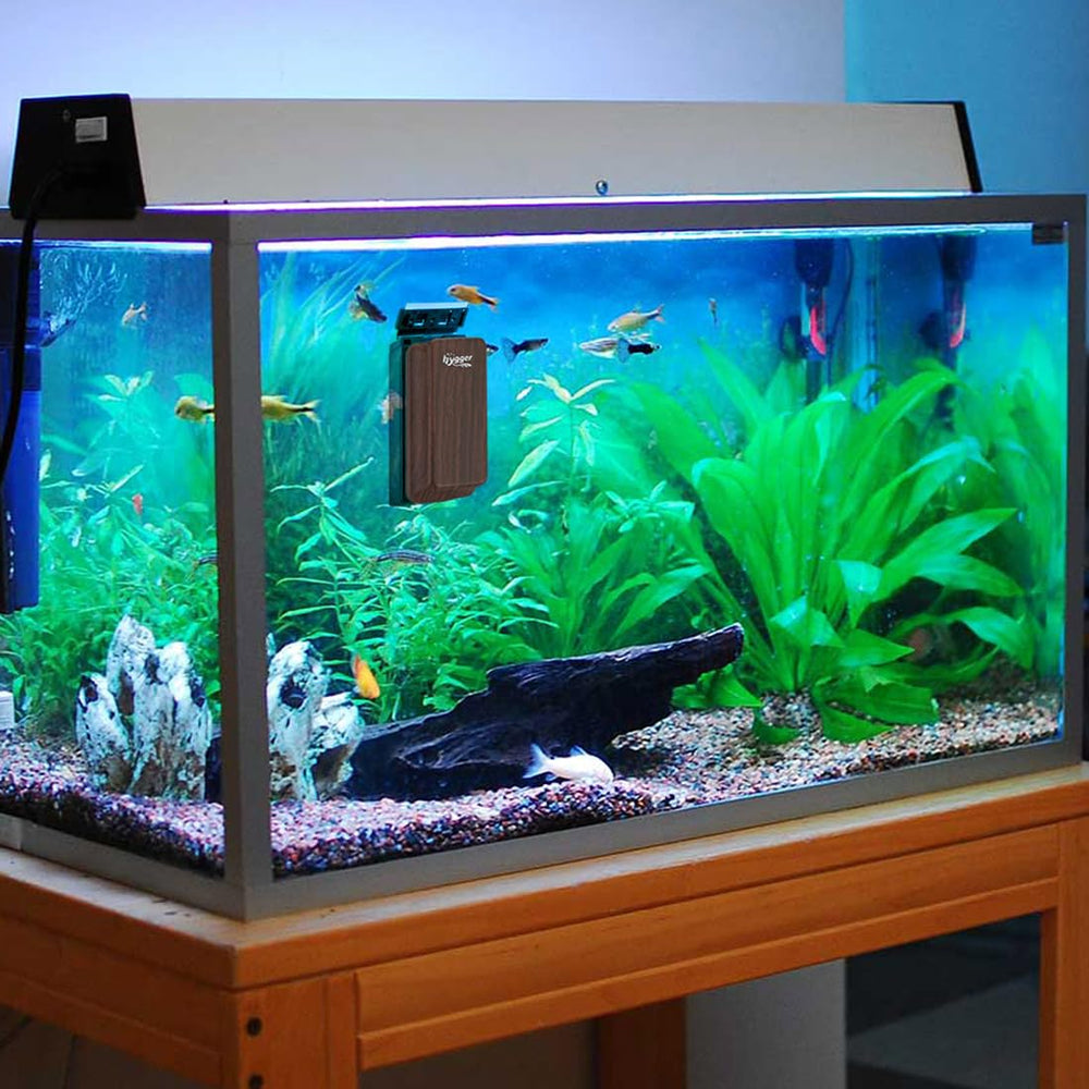 hygger metal blade for freshwater algae cleaning