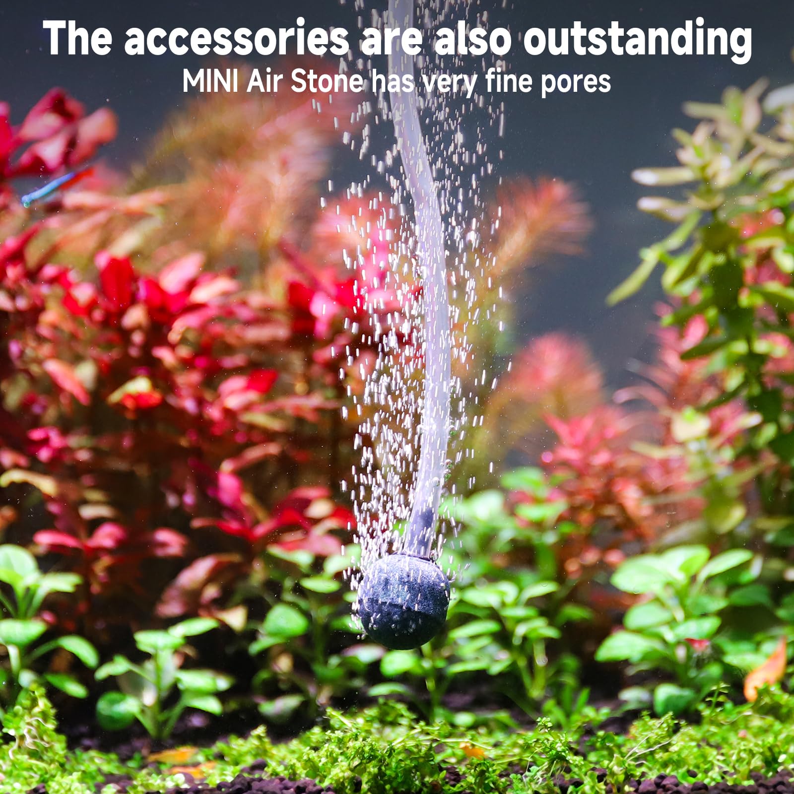 hygger MINI 1.5W ready-to-use kit for instant aquarium setup.