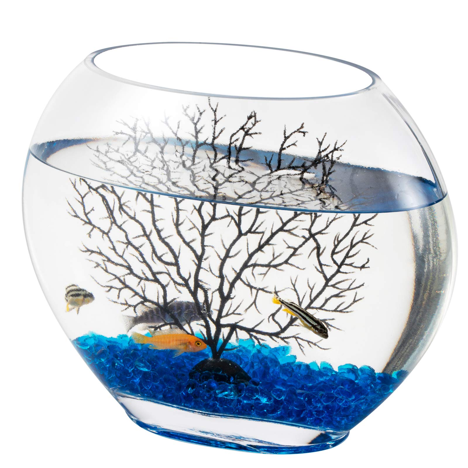 Hygger mini glass oblate fish bowl kit with decor stones for compact, stylish display