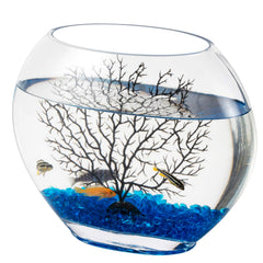 Hygger mini glass oblate fish bowl kit with decor stones for compact, stylish display