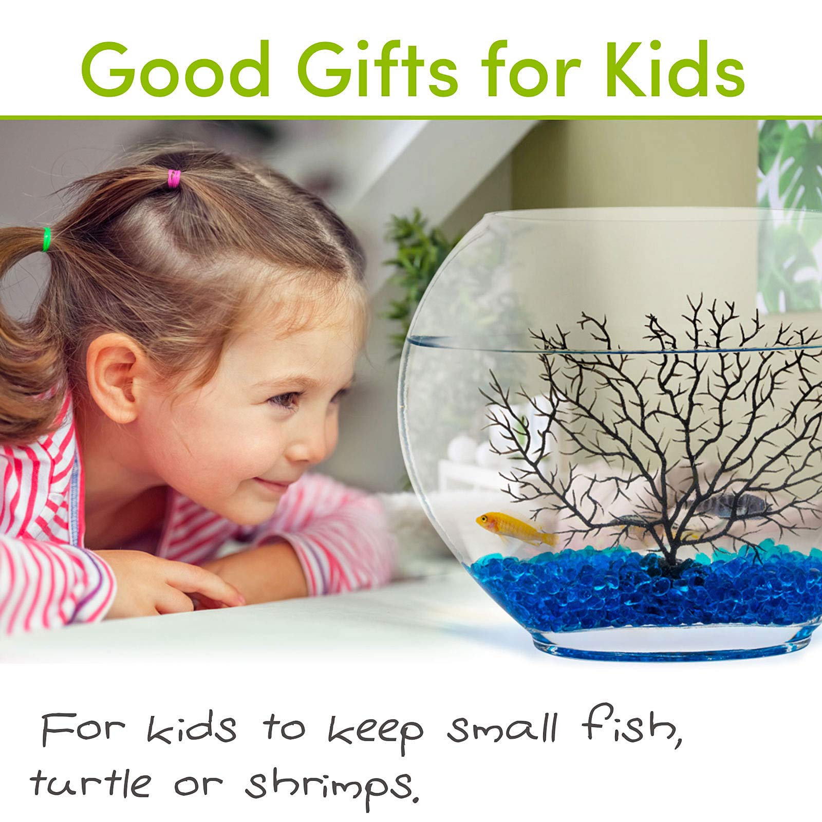 Hygger oblate shape fish bowl fits desks and shelves for easy viewing