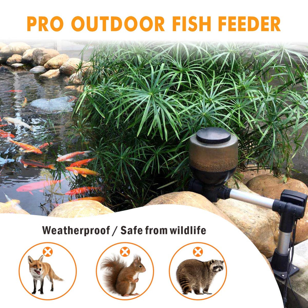 Hygger pond feeder dispensing-sliders illustrate controlled portions for koi meals.