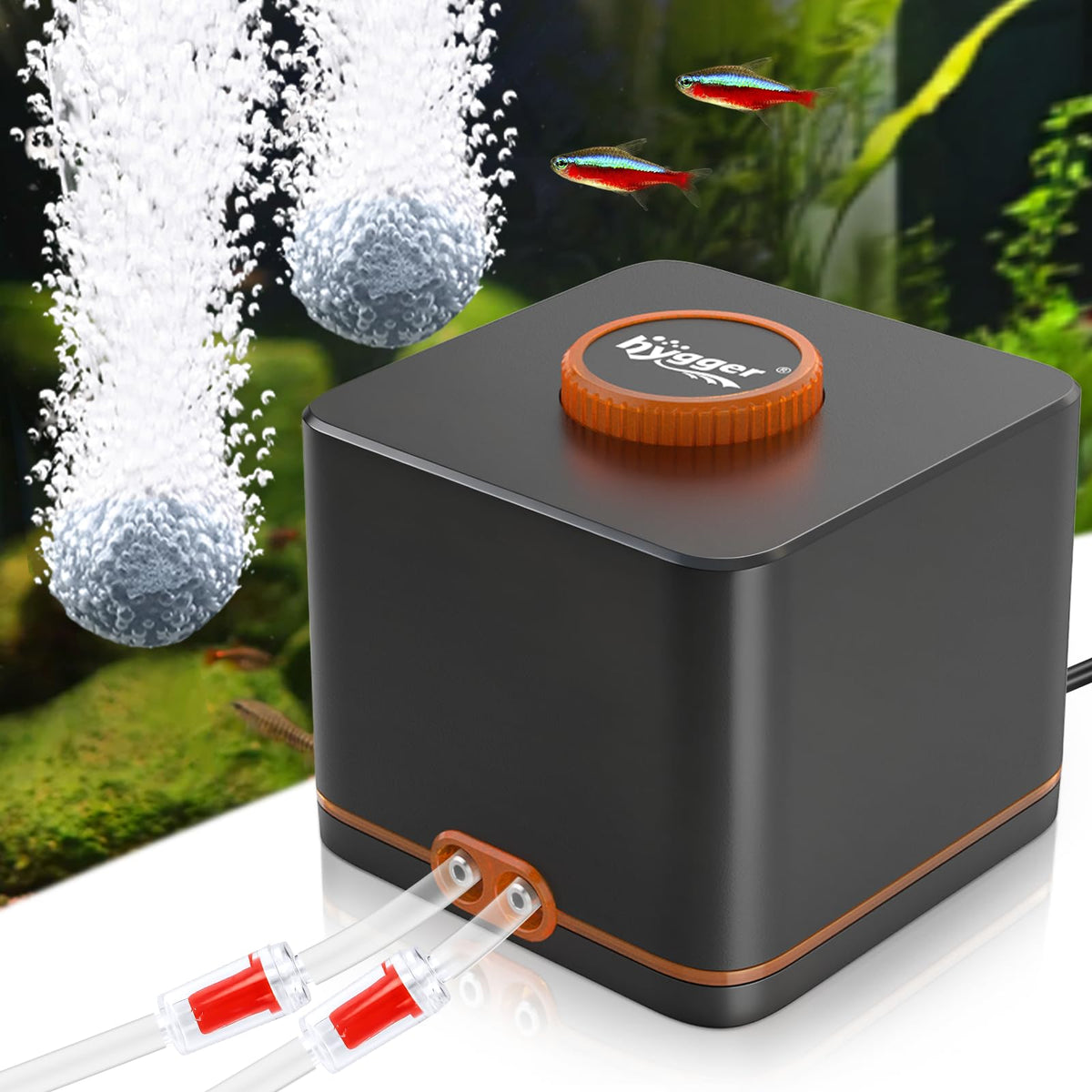 Hygger strong aquarium air pump: stainless-steel outlet powering two air stones.