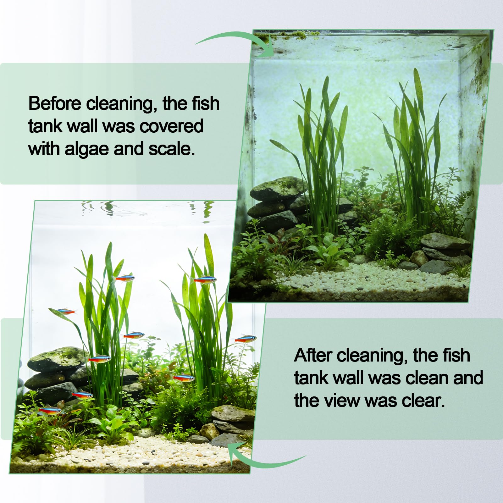 Hygger two-magnets option reduces cleaning time on large tanks.