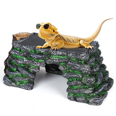 Hygger Zoo 3in1 basking platform top view for sunning reptiles and climbing