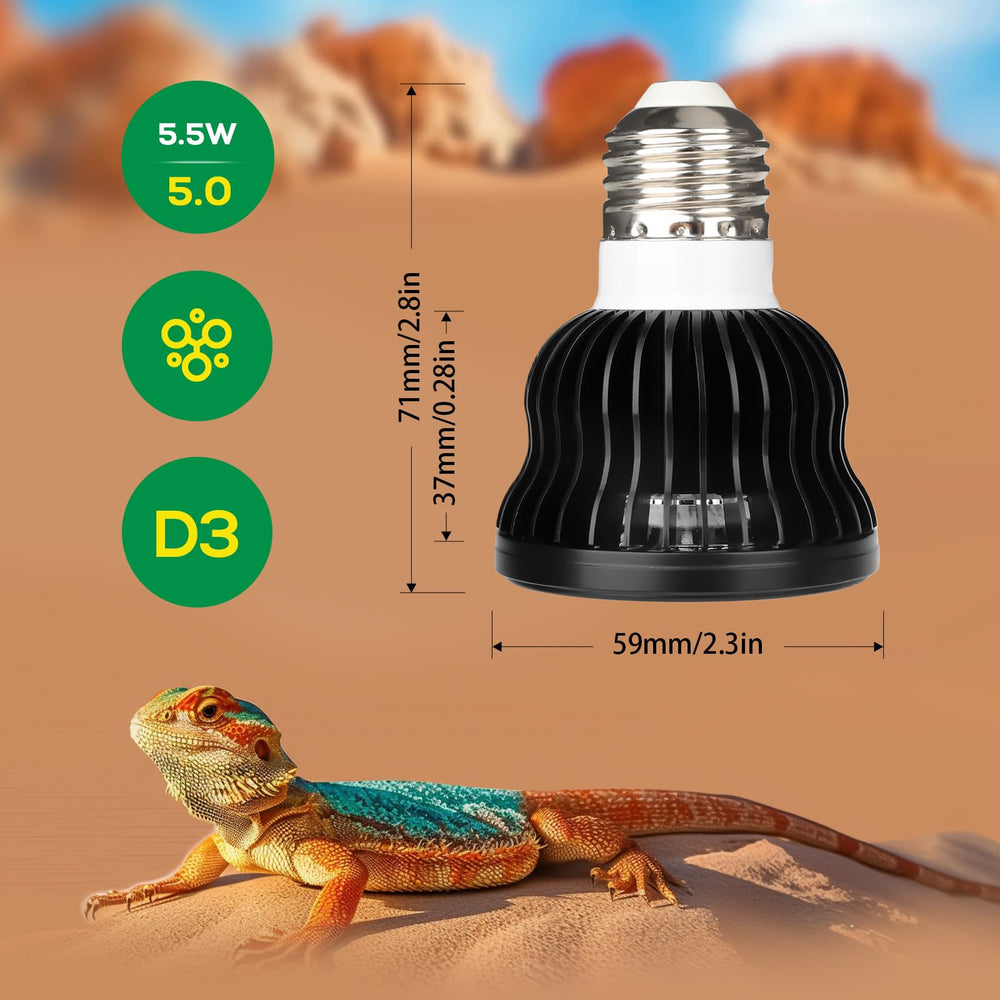 Hygger Zoo bearded dragon setup with UVB exposure for daily activity.