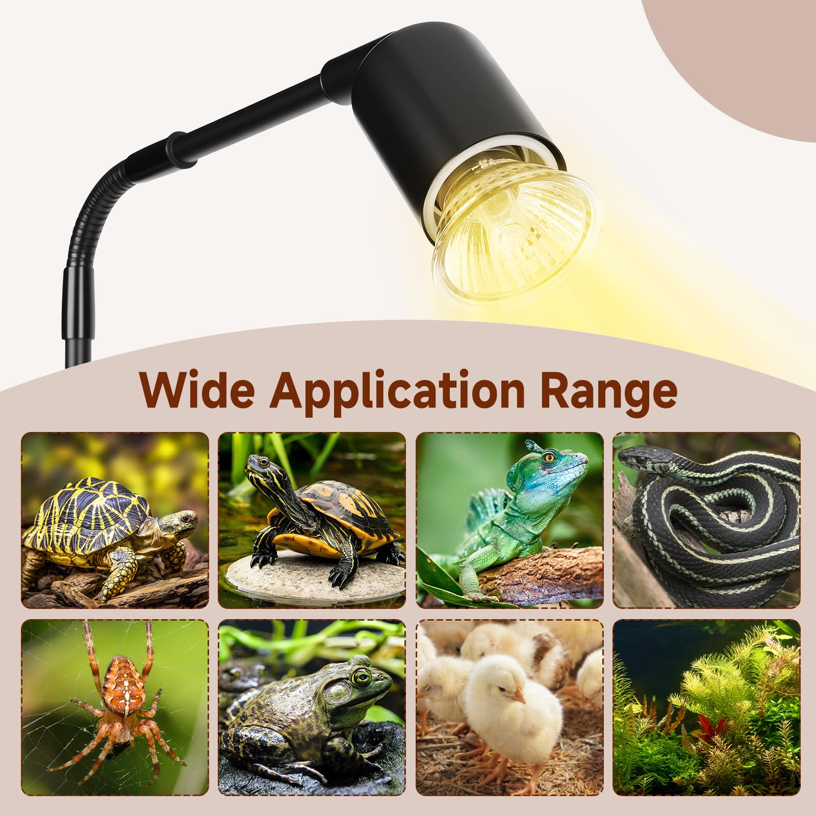 Hygger Zoo close-up shows a durable rust-proof frame.