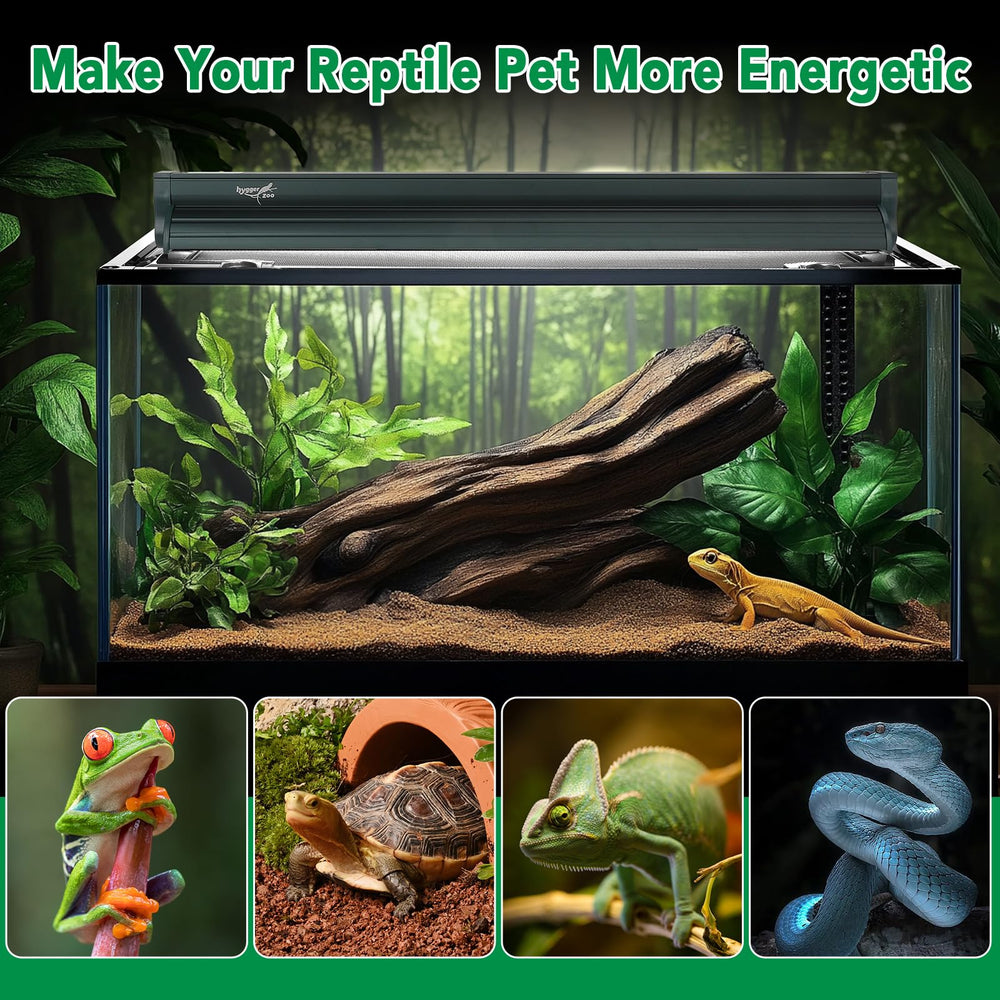 Hygger Zoo ideal for tropical and desert reptiles like bearded dragons.